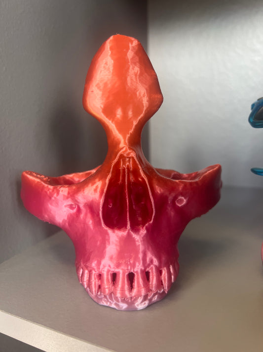 Skull glasses holder