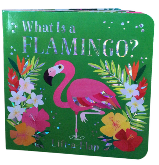 What is a Flamingo